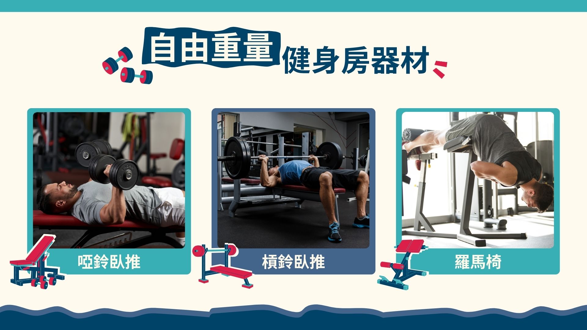 健身器材怎么清洁？按接触面和材料处理相关健身器材示意图